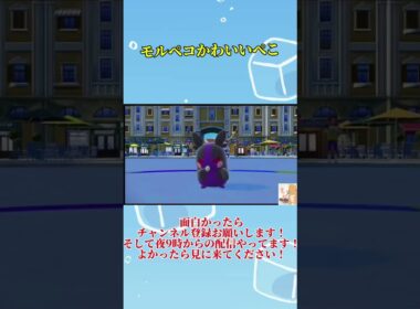 モルペコかわいいぺこ。#ポケモン #モルペコ