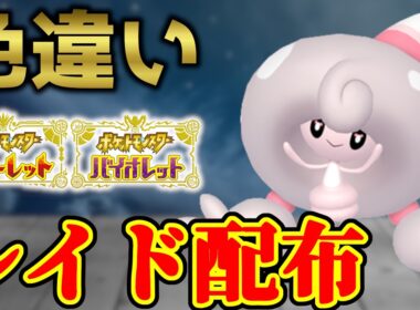 【台風で家から出れない･･･】 色テブリム配布 shiny raid 【ポケモンSV】#参加型配信