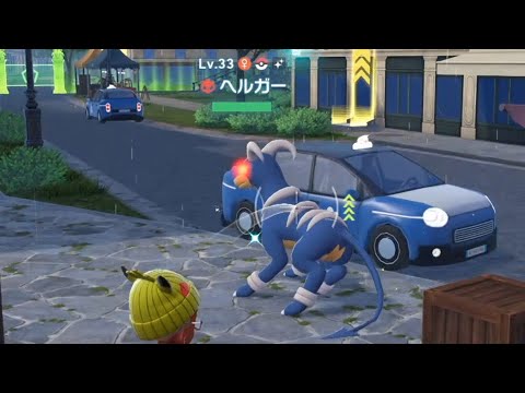 ワイルドゾーン6(デルビル・アサナン)色違い探し＃36【Pokémon LEGENDS Z-A】