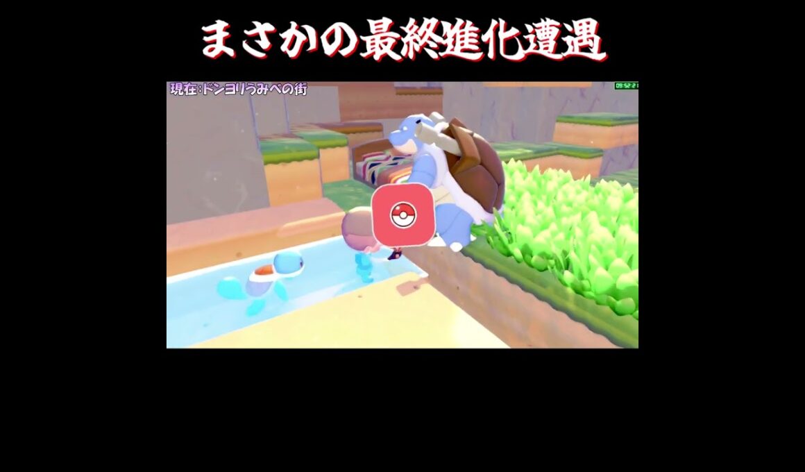 【ぽこポケ】ポッポ ピジョン カメックスの反応集【切り抜き／ぽこあポケモン】 #カメックス #pokopia  #shorts
