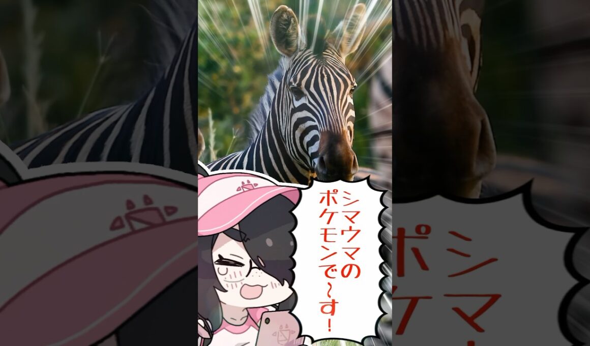【ポケモン】プロイラストレーターがシママを図鑑情報だけで描いてみた #pokémon #shorts #伊東ライフ