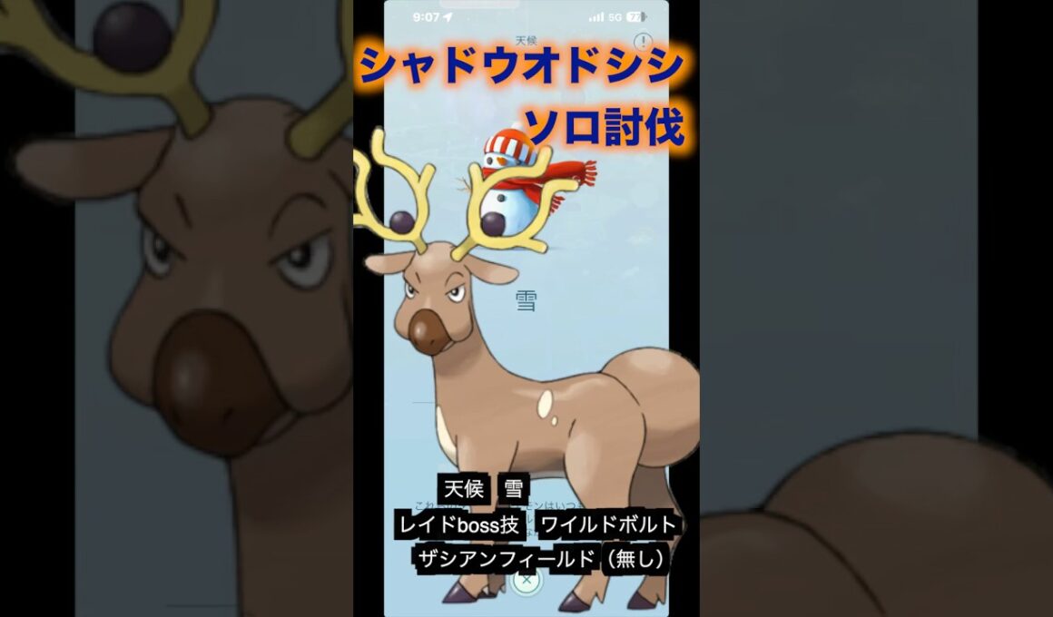 シャドウオドシシ　ソロ討伐#pokémon #オドシシ