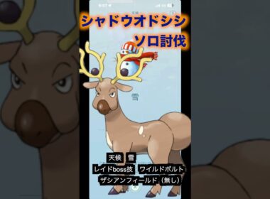 シャドウオドシシ　ソロ討伐#pokémon #オドシシ