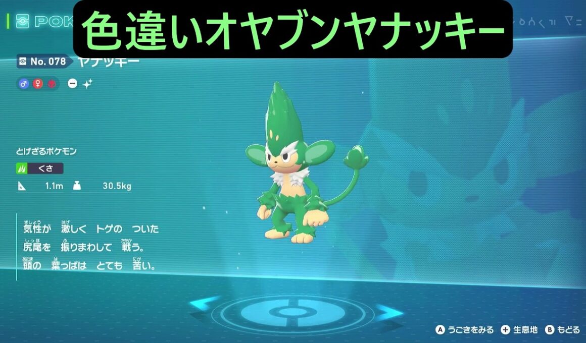 色違いオヤブンヤナップ・ヤナッキー ポケモンレジェンズZA M次元ラッシュ Pokémon LEGENDS Z-A Mega Dimension #ポケモン #ポケモンza