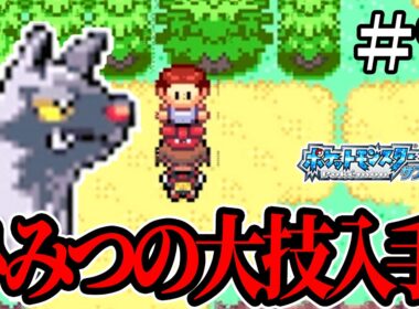 【ポチエナ縛り】木の近くにいる人に話しかけたら秘密の大技を手に入れてしまった【ポケモンサファイア#9】
