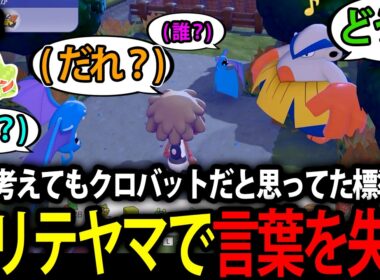 #12 どう考えてもクロバットが来ると思ってた標準、突然の力士に言葉を失う【ぽこ あ ポケモン】