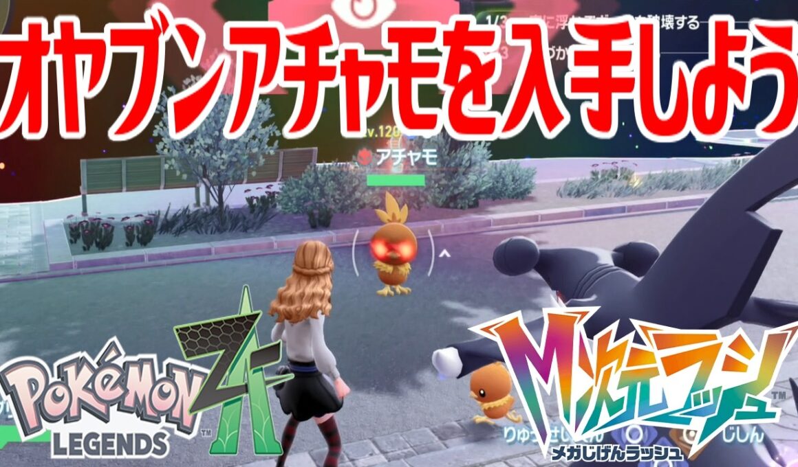 【ポケモンZ-A】オヤブンアチャモを入手しよう【Pokémon LEGENDS Z-A M次元ラッシュ】
