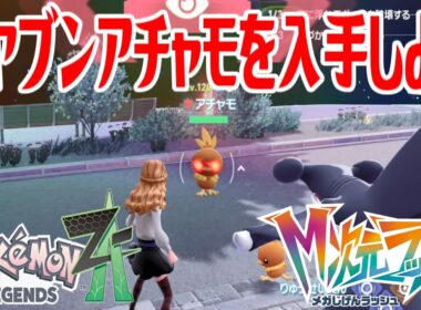 【ポケモンZ-A】オヤブンアチャモを入手しよう【Pokémon LEGENDS Z-A M次元ラッシュ】