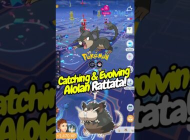Gotcha! Evolving Alolan Rattata into Raticate! 🥸 #shorts