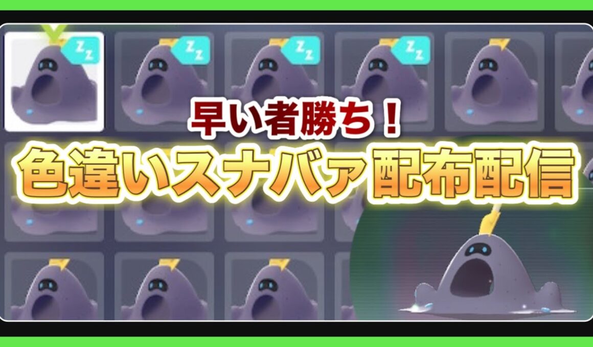 【ポケモンZA】色違いスナバァ配布＆ポケモン交換進化協力配信（pokemon legends z-a）【PokemonZ-A】※ネタバレ注意！