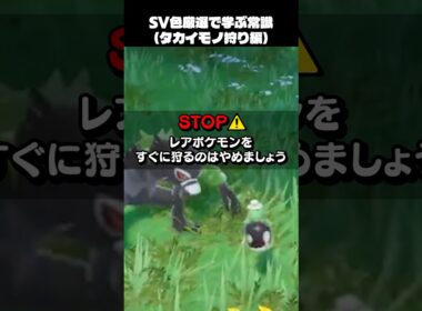 色違い厳選から学ぶ常識【ポケットモンスター】　#shorts  #ショート　#ポケモン  #ポケモンsv色違い #ポケモンsv #ポケモンsv実況 #pokemon #pokemonunite