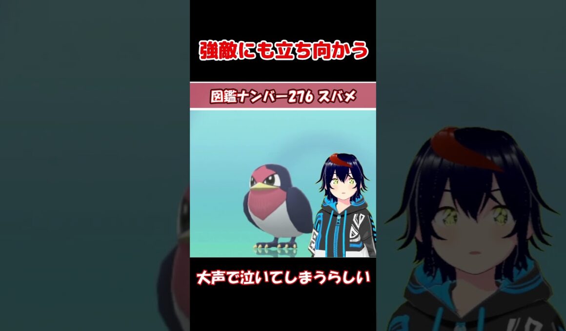 スバメ、根性がありすぎる【りるポケ図鑑】