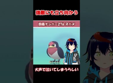 スバメ、根性がありすぎる【りるポケ図鑑】