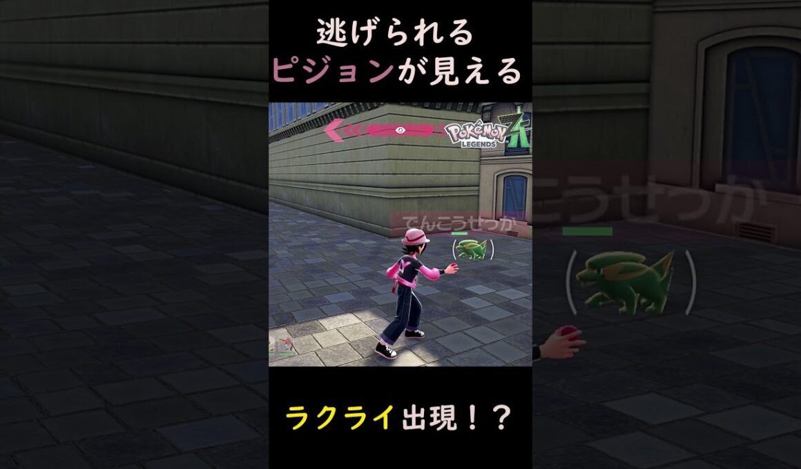 【ポケモンZA】ラクライに逃げられるピジョンが見える実況者！？ #ポケモン#ポケモンza #ゲーム実況
