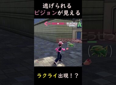 【ポケモンZA】ラクライに逃げられるピジョンが見える実況者！？ #ポケモン#ポケモンza #ゲーム実況