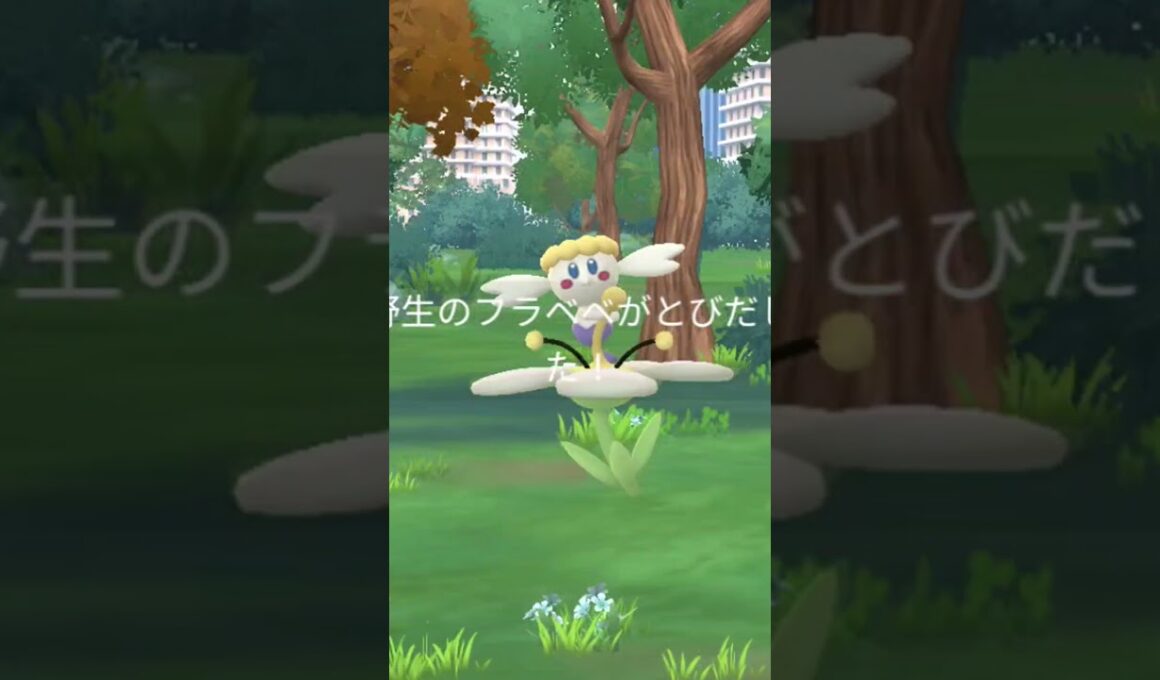 生まれ変わったスマホと共にゆくフラベベコミュデイ #shorts #ポケモン #ポケモンgo #ポケgo #ゆっくり #pokemongo #pokemon #ゆっくり実況 #フラベベ #コダック