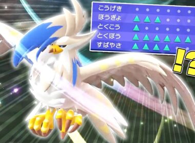 特性「あまのじゃく」で要塞と化したメガムクホーク(色違い)【Pokémon Champions】
