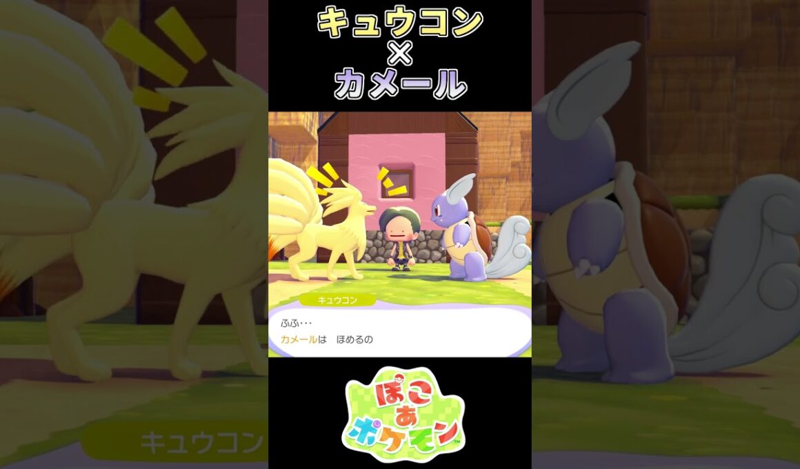 【ぽこあポケモン】熱狂的ファンなカメール【ポケモン】