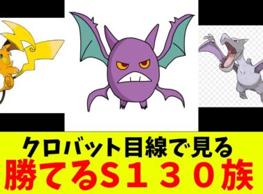 クロバット目線で見る勝てるS１３０族