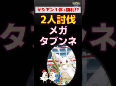 挑戦！【メガタブンネ！2人討伐】ザシアン1体で勝てる？検証結果はこちら【ポケモンGO】