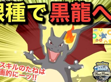ツボツボ1匹目から結構強くて悩む無課金【ポケモンスリープ】【連発！スキルウィークvol.3】無課金リサーチ911/896日目