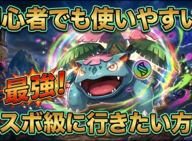 【使いやすさ◎】メガフシギバナがアツい！強すぎてマスターボール級一直線！【ポケモンチャンピオンズ実況】