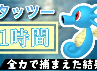 【ポケモンGO】田舎でタッツーのスポットライトアワーをやった結果