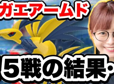 メガエアームドレイドデイ|15戦したらこうなりました。