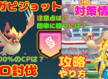メガピジョットのソロ討伐！簡単な条件とやり方、攻略ポイントを解説