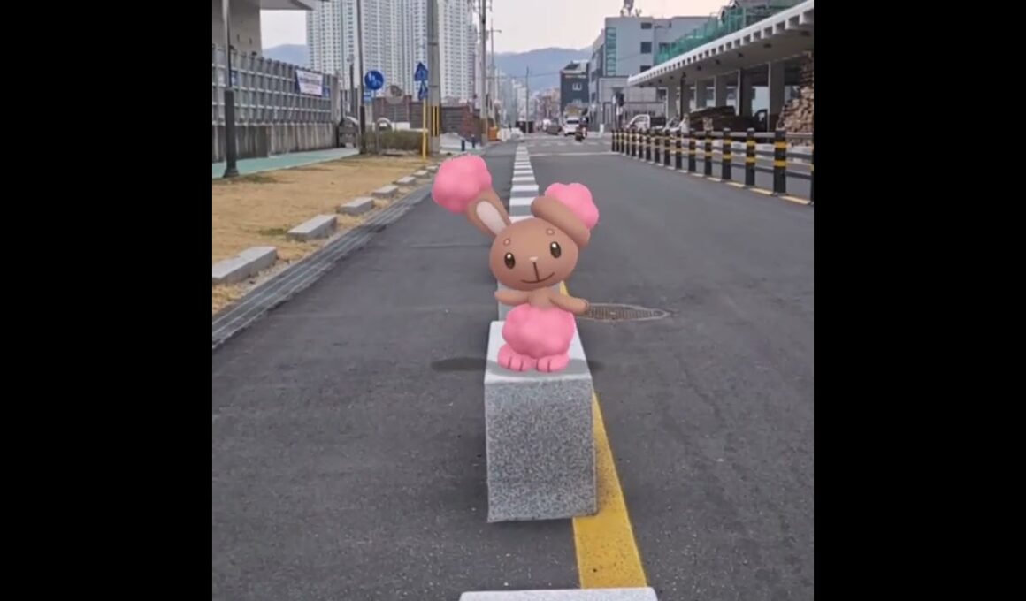 이어롤 ( Buneary ) ミミロル ( 捲捲耳 )