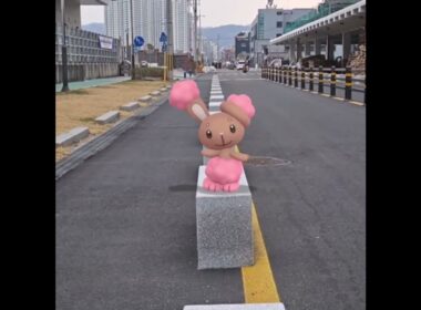 이어롤 ( Buneary ) ミミロル ( 捲捲耳 )