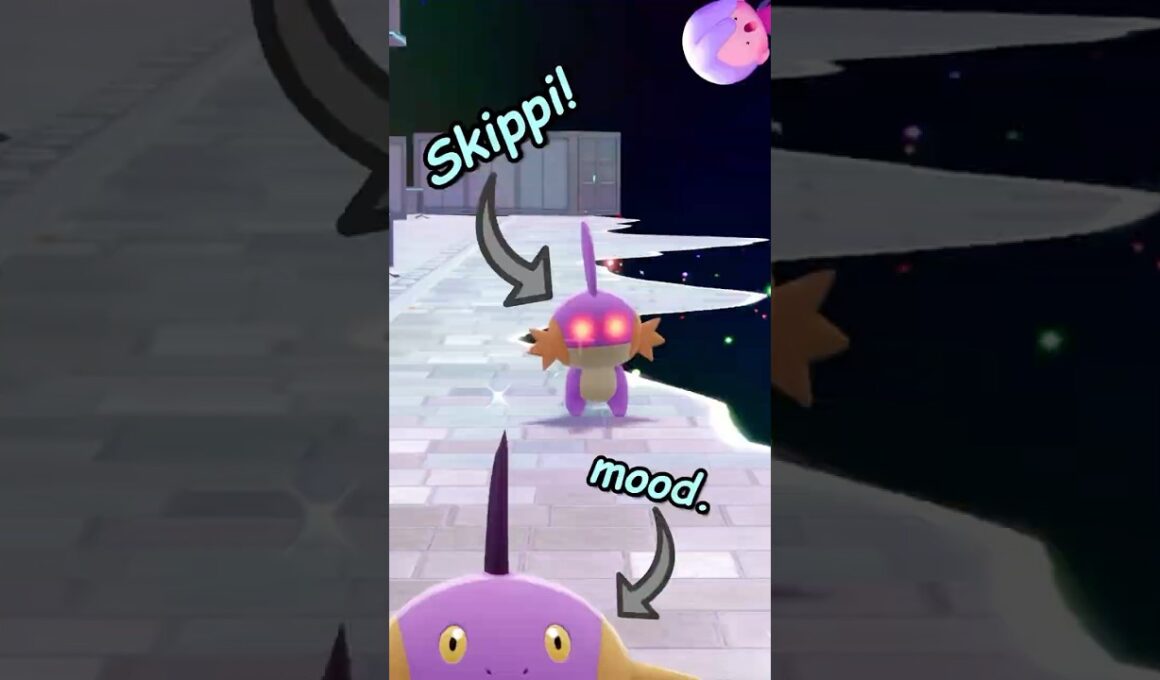 Skippi, the Mudskipper! Shiny Alpha Mudkip!