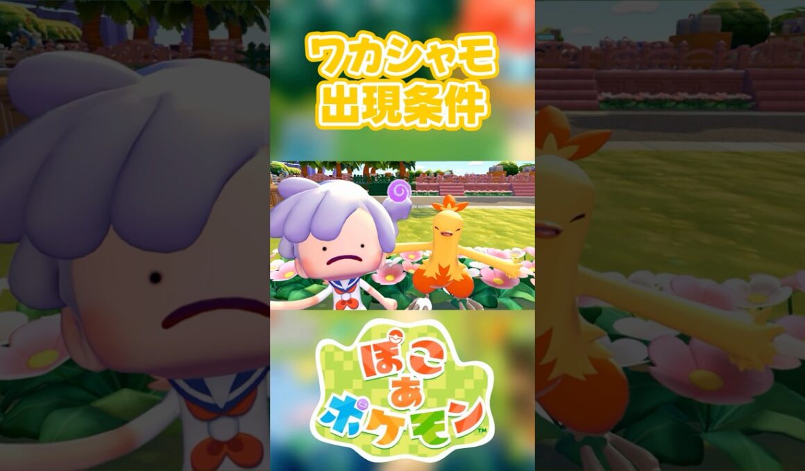 【ぽこあポケモン】ワカシャモの出現条件を徹底解説！#shorts