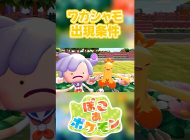 【ぽこあポケモン】ワカシャモの出現条件を徹底解説！#shorts