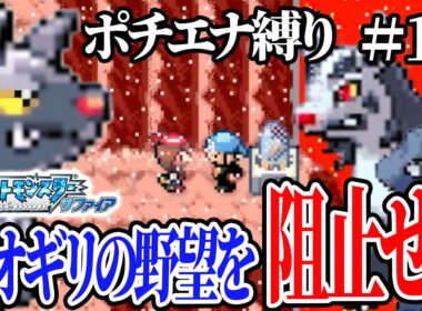 【ポチエナ縛り】アオギリの野望を阻止して隕石を取り戻せ！【ポケモンサファイア#10】