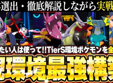 【チームID／育成論公開】サザングロス完封、メガクチート＆メガリザードンY軸！TierS環境ポケモンを全破壊する現環境最強構築、基本選出の考え方＆実戦あり。【ポケモンチャンピオンズ ランクマッチ】