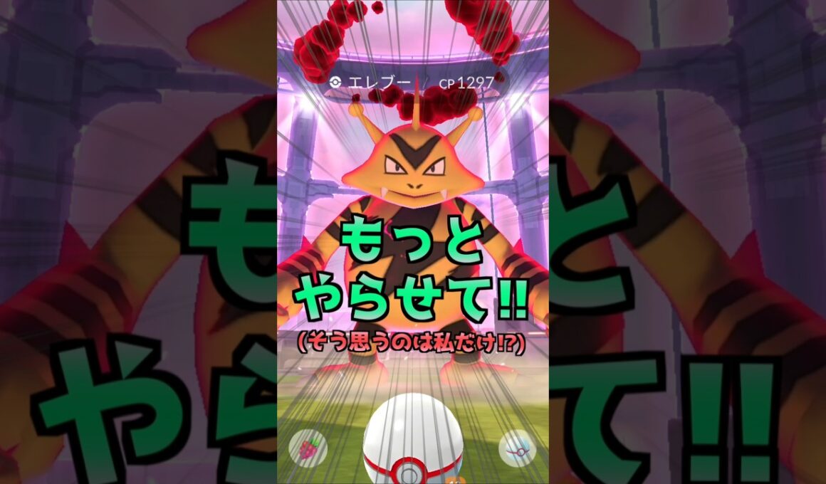 ダイマックスエレブー１１戦♪色違いを狙ったら涙の結果に!!【ポケモンGO】