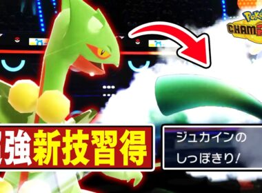 新技習得で強化された『メガジュカイン』←正直言って、〇い。【ポケモンチャンピオンズ】