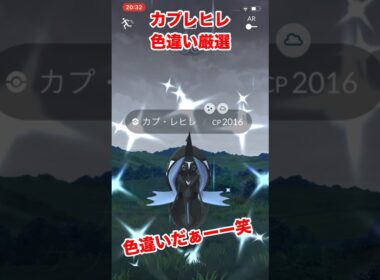 【ポケモンgo】色違いカプレヒレをゲットしてみた！初ゲットだぜ！これでカプ系色違いコンプ！#ポケモン　#ポケモンgo #カプレヒレ　#カプ系　#パチストラッシュ　#shorts