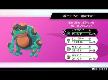 色違いガマゲロゲ