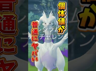 【悲報】シャドウレシラムさんで完全にやらかす...【ポケモンGO】#ポケモンGO #島名なまし　#シャドウレシラム