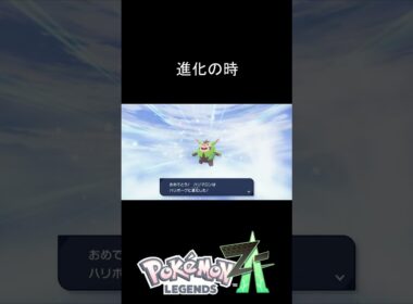 ハリマロン進化～…ハリボーグ!!! #PokémonLEGENDSZ A