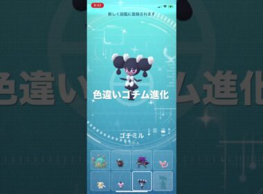 ポケモンGO 色違いゴチム出現！色違いゴチミル、色違いゴチルゼルへ進化！ #ポケモン #pokémon #ポケモンgo