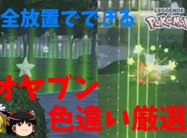 【ひかおまなし】2番ワイルドゾーン完全放置A連打でできるオヤブンヒトデマン　コイキングの色違い厳選方法【ポケモンＺＡ】【ゆっくり実況】