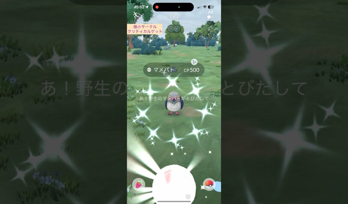 【難易度中】色違いマメパト極小サークルクリティカルゲット【ポケモンGO】