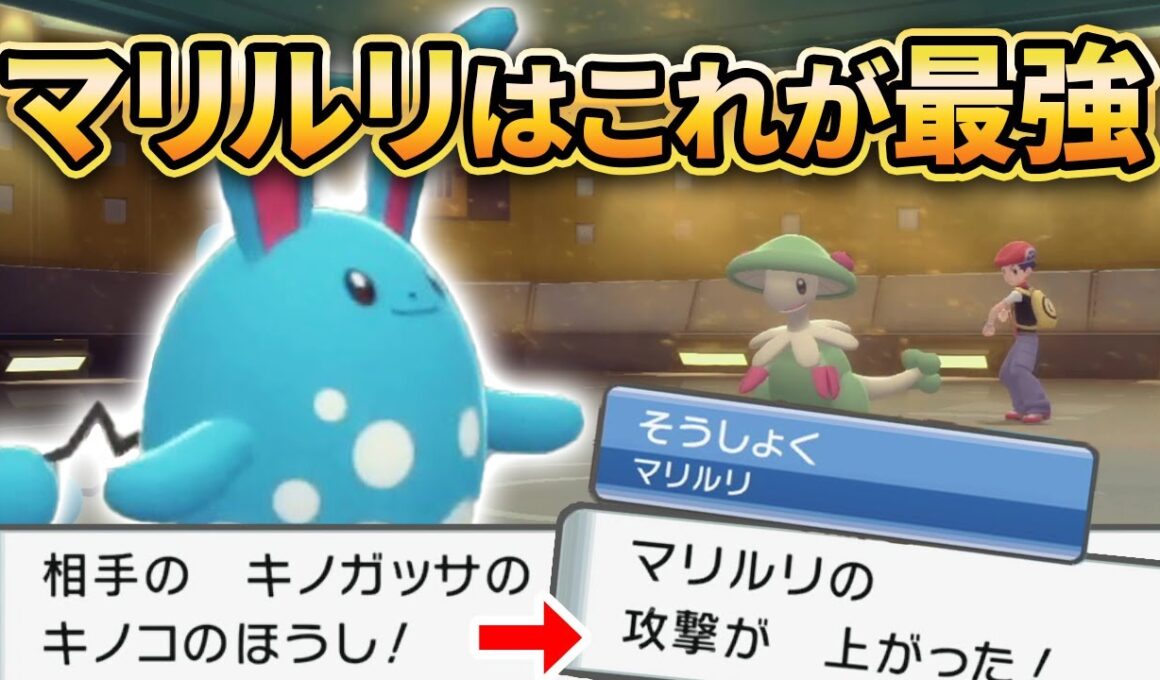 【ダイパリメイク】キノガッサも完封する『マリルリ』がマジで強いです【ポケモンBDSP】(育成論付き)
