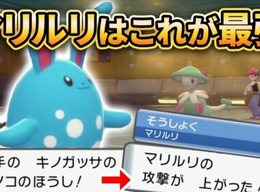 【ダイパリメイク】キノガッサも完封する『マリルリ』がマジで強いです【ポケモンBDSP】(育成論付き)