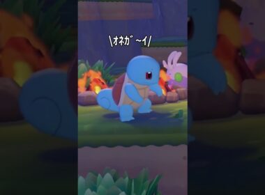 ぽこあポケモン しつこいゼニガメ編 #ぽこポケ #ゲーム実況 #ぽこあポケモン #shorts
