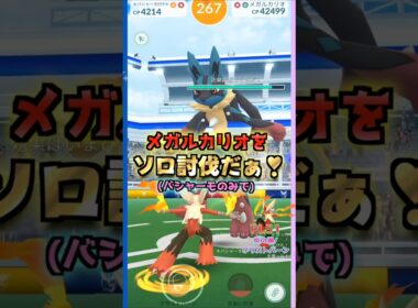 メガルカリオをソロ討伐!!バシャーモver【ポケモンGO】