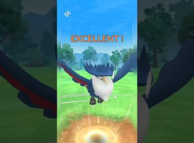 #ドンカラス初手においてはいけないと分かる試合！#ポケモンgo #ポケモン #pokemongo
